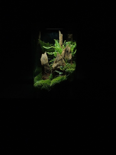 [ZD 200] terrarium cylindrique 200mm